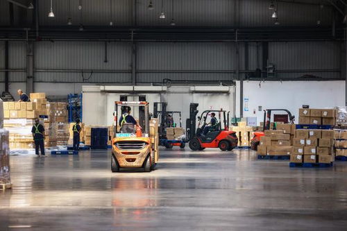 航空港实验区 营造生态创新赋能，跨境进出口业务突破1亿单