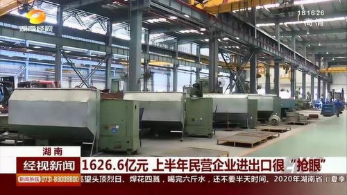 民营企业业绩抢眼 上半年进出口总额突破1626.6亿元，丝网制品表现突出