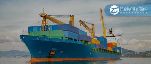 连续五年增长，XX港口吞吐量增长10% 丝网制品及进出口业务成关键驱动力